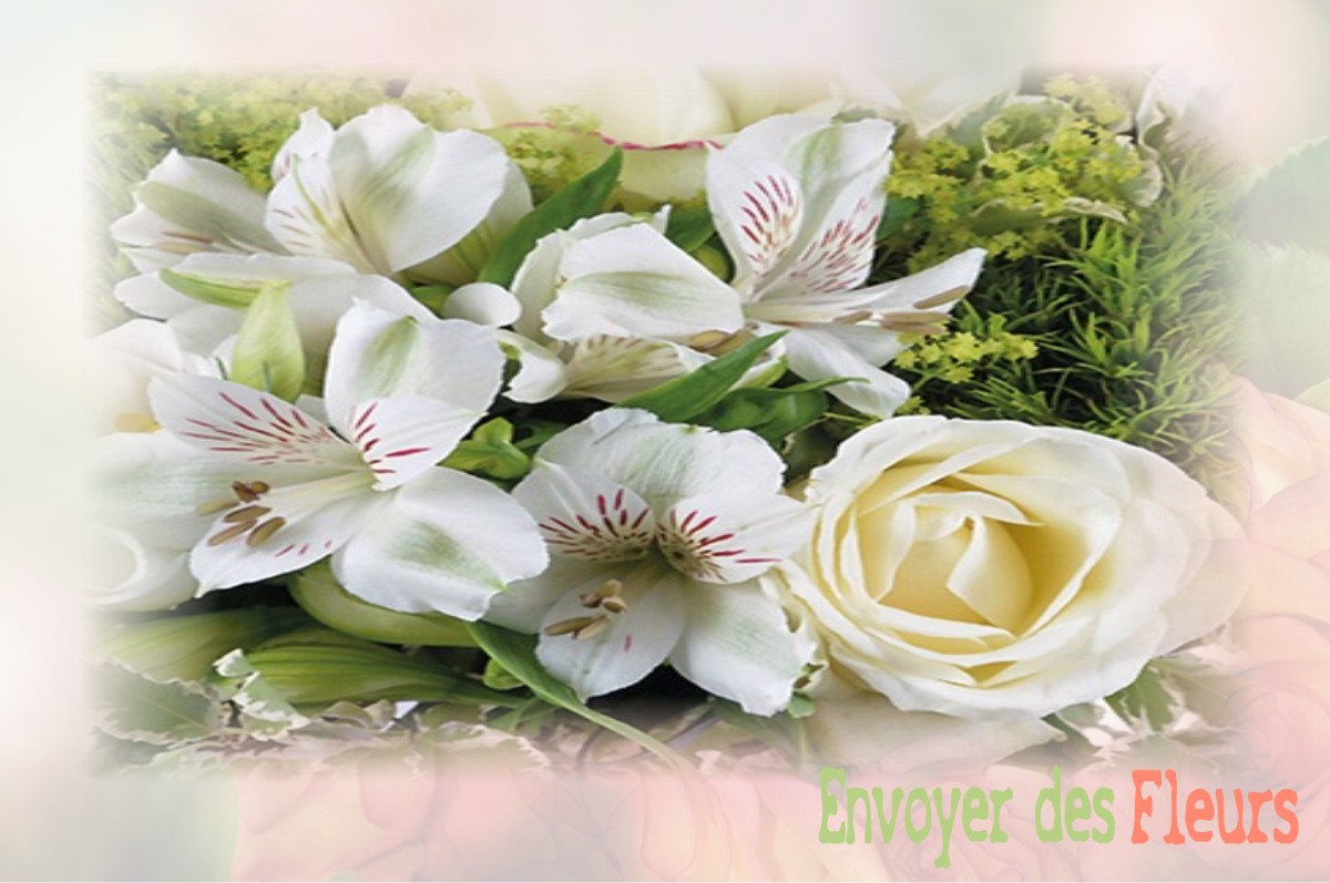 envoyer des fleurs à à VILLENEUVE-AU-CHEMIN