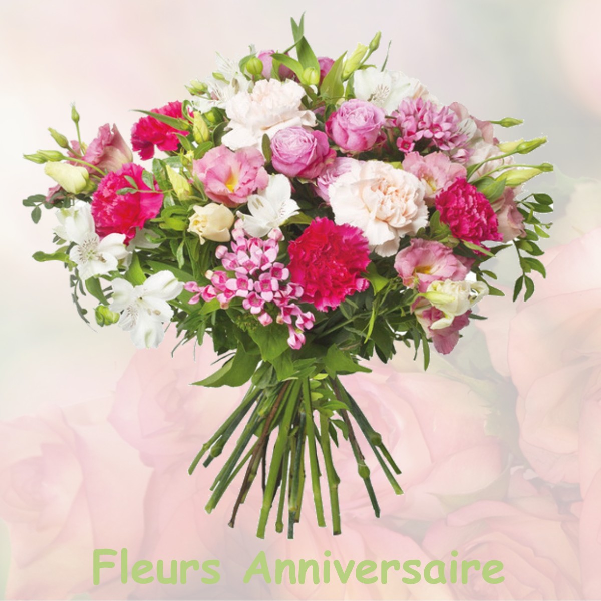 fleurs anniversaire VILLENEUVE-AU-CHEMIN